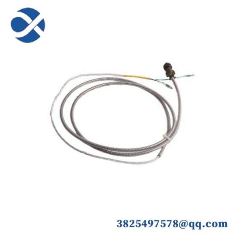 Bently Nevada 31000-16-10-00-119-03-02: Advanced Protection Module for Industrial Automation