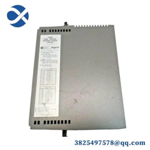 ICS TRIPLEX T9310-02 Off-the-Shelf Modules