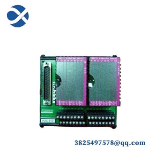 Foxboro P0916JT - I/A Series Control Module